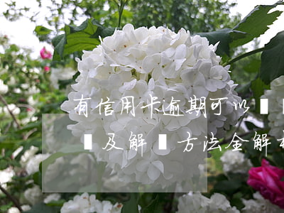 有信用卡逾期可以辦銀行卡嗎？影響及解決方法全解析
